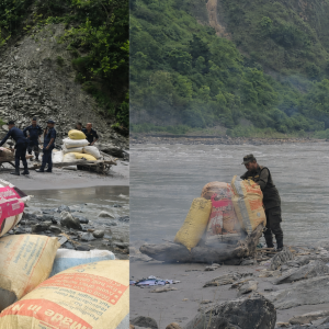 धनकुटामा १ हजार ५२१ केजी गाँजा जलाएर नष्ट