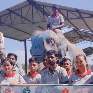 कोशी टप्पु हात्तीसारमा विश्व हात्ती दिवस मनाइयो कोशी टप्पु हात्तीसारमा विश्व हात्ती दिवस मनाइयो