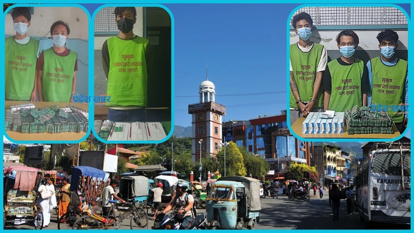 धरानमा लागूऔषधका ४०६ मुद्दा, नियन्त्रणमा चुनौती धरानमा लागूऔषधका ४०६ मुद्दा, नियन्त्रणमा चुनौती